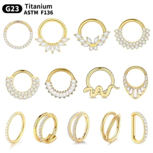 1Pc Titanium Nose Hoop Daith Earring Conch Helix Septum Piercing Clicker Segment Helix Rook Ear Piercings Women Body Jewelry 16G - AliExpress